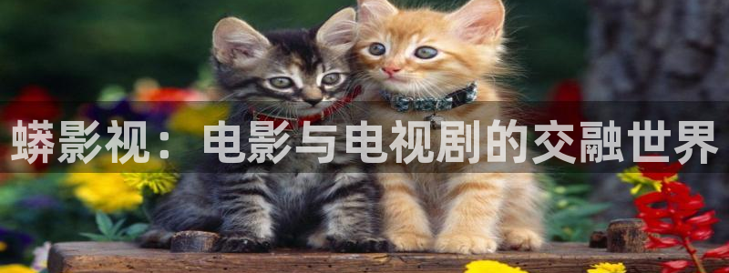 红叶影院app：蟒影视：电影与电视剧的交融世界