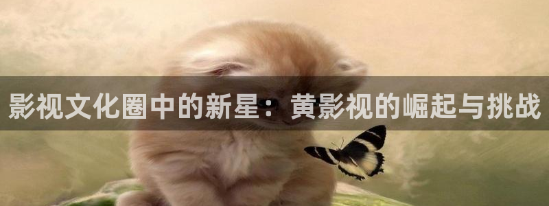 红叶影视完整版