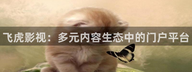 六安红叶国际影城