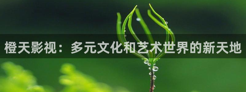 红叶电影