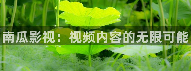 红叶影院下载