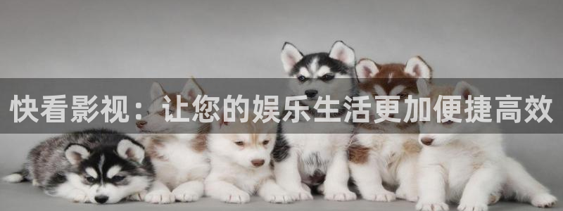 六安红叶影城电影