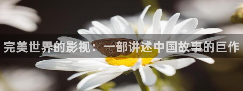 电影红叶