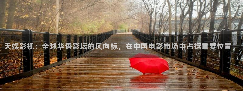 红叶影视完整版