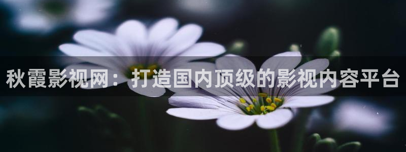 红叶影视app官方下载