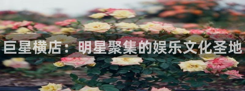 六安红叶电影院今日影讯