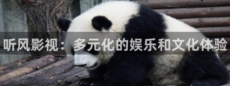 红叶影视app官方下载